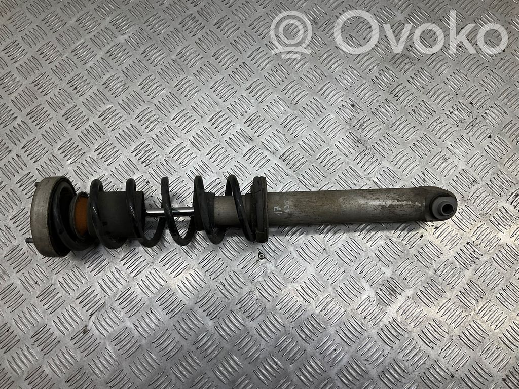 Stoßdämpfer hinten   6766999