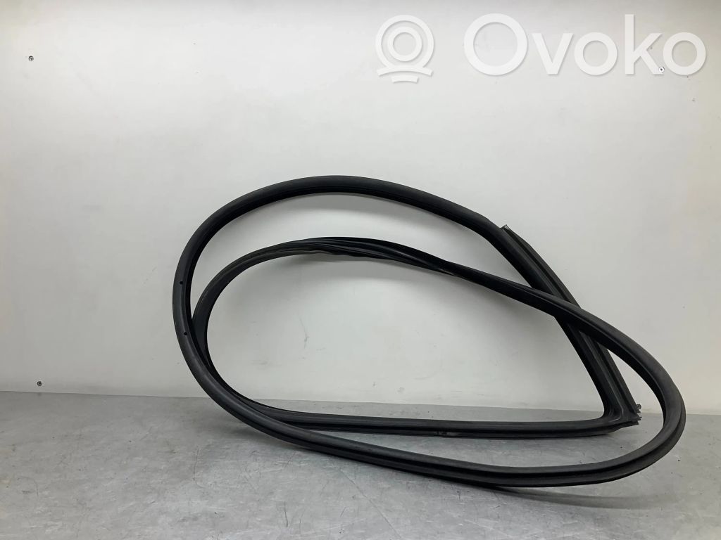 BMW 3 E92 E93 Front door rubber seal 