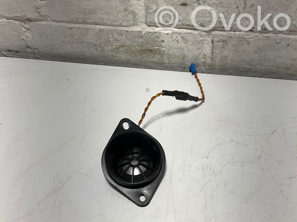 Front door high frequency speaker   6919363