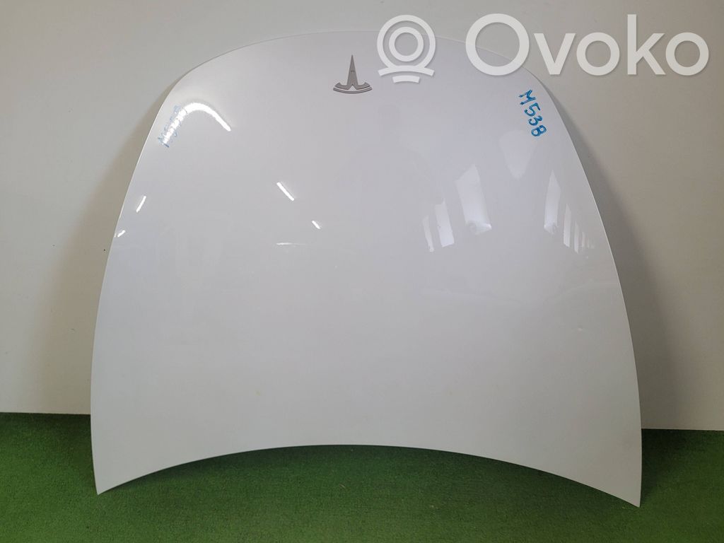 Tesla Model 3 Konepelti 