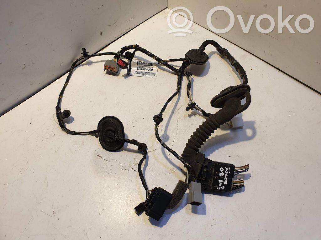 Ford Focus Faisceau de câblage de porte avant 