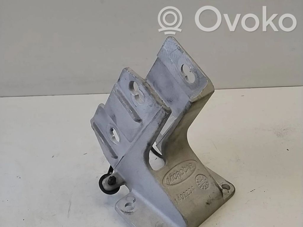 Microcar Ligier Kita salono detalė 