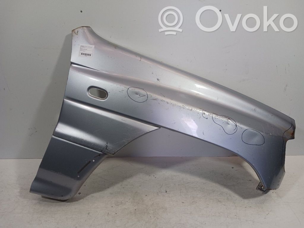 Mitsubishi Pajero Fender 