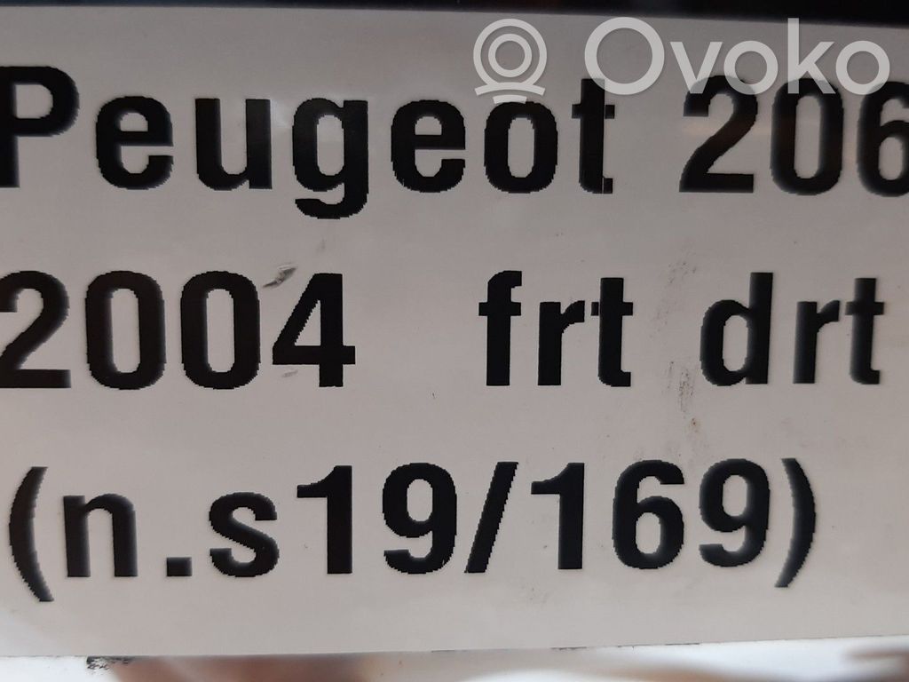 Peugeot 206 Etuoven sähköinen sivupeili 