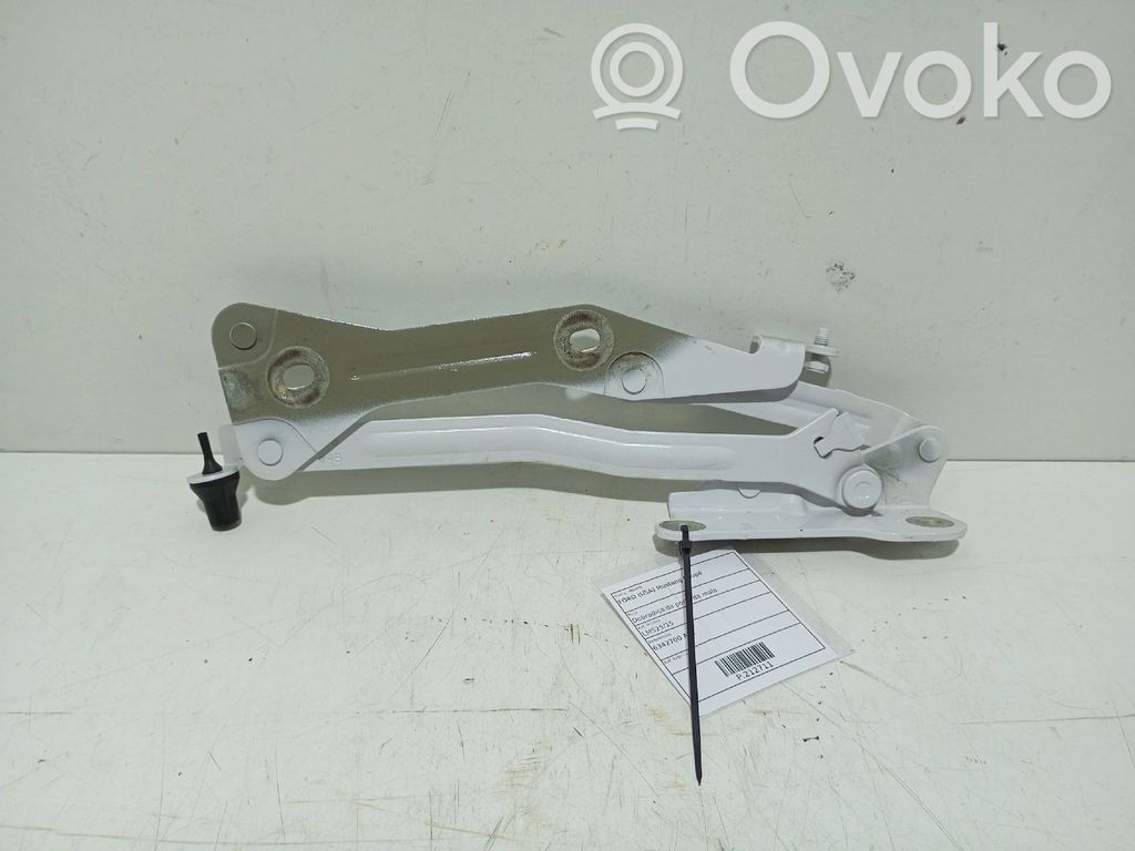 Tailgate hinge   6342700