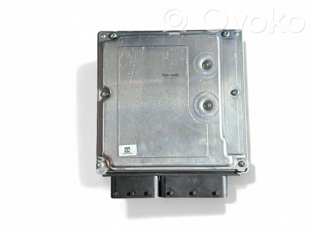 Engine control unit/module   7808124,02810135028