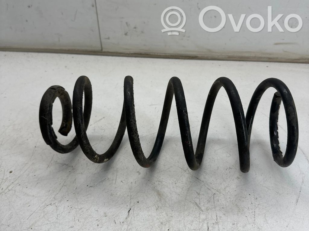 Front coil spring