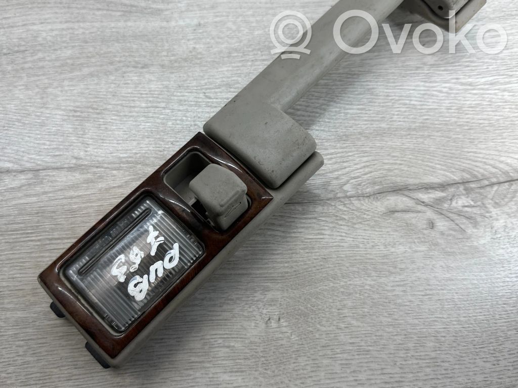 Chrysler Pacifica Haltegriff hinten 
