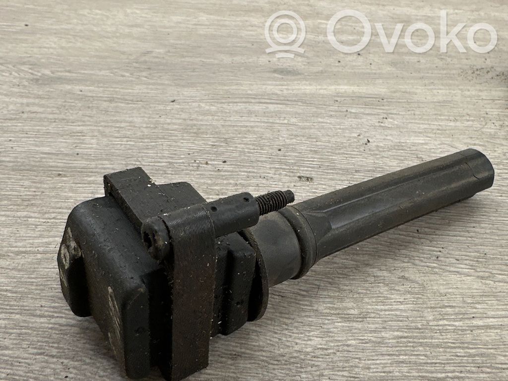 Aukštos įtampos ritė "babyna"   5313