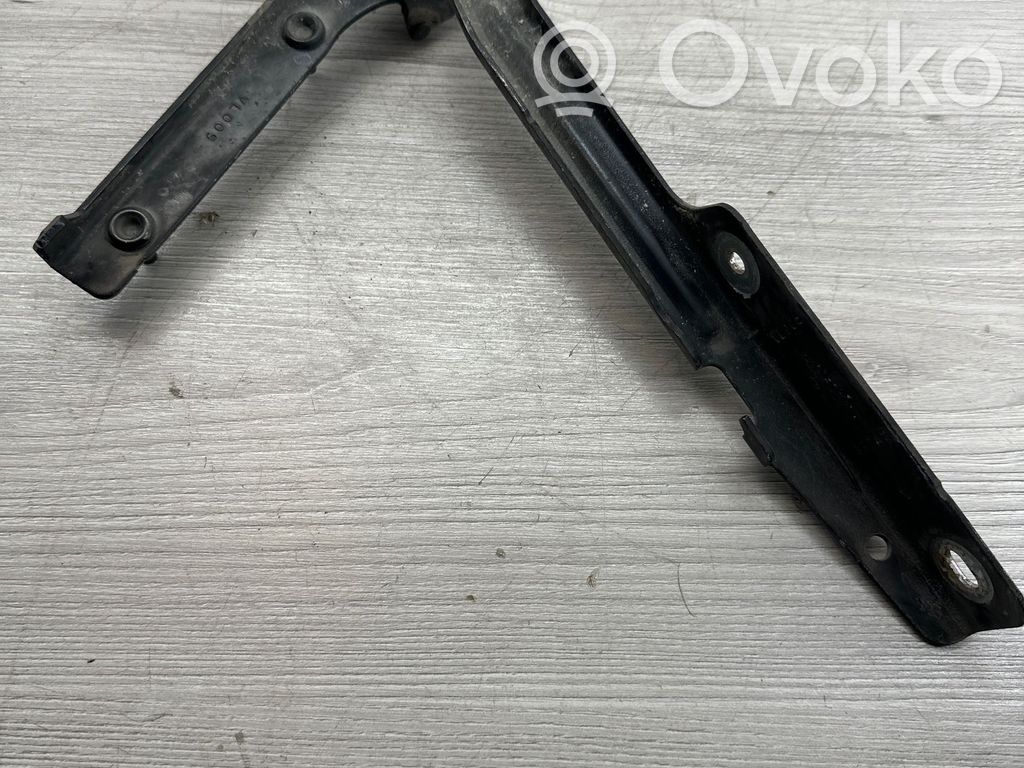 Dodge Nitro Engine bonnet/hood hinges 