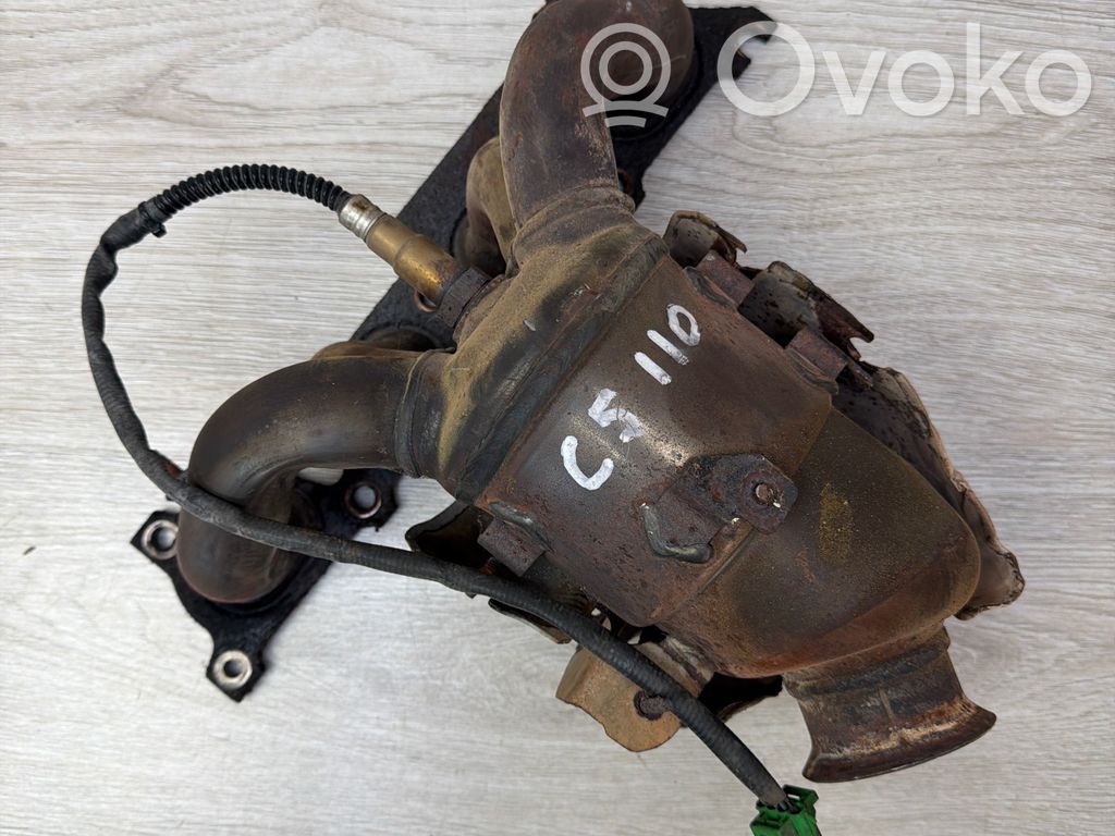 Filtr cząstek stałych Katalizator / FAP / DPF   9663079580,PSAK396