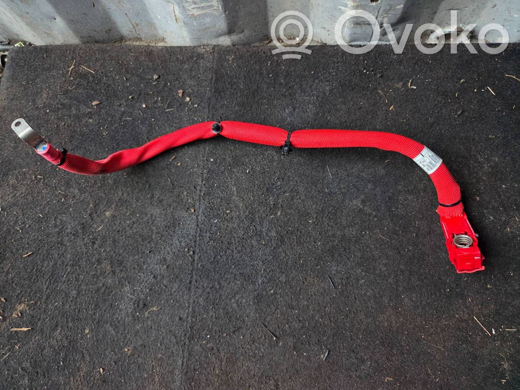 BMW X3 G01 Positive cable (battery) 