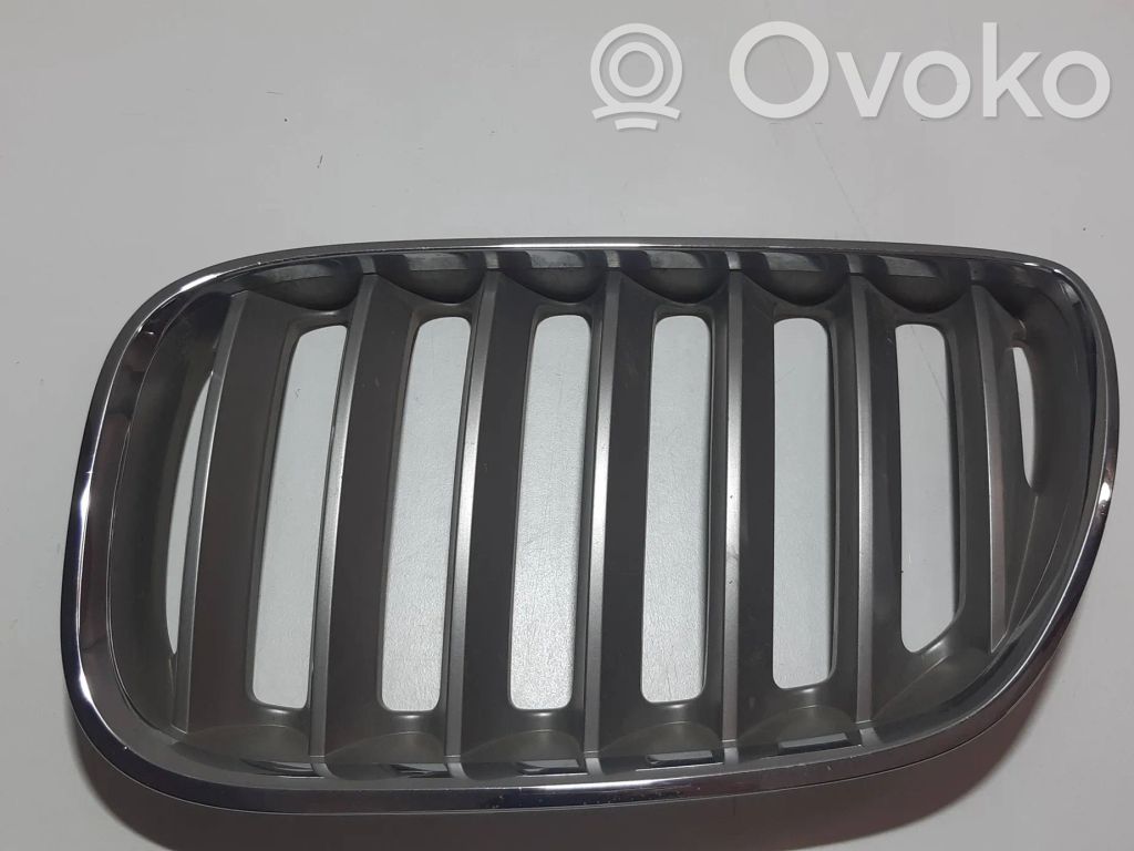BMW X5 E53 Front grill 