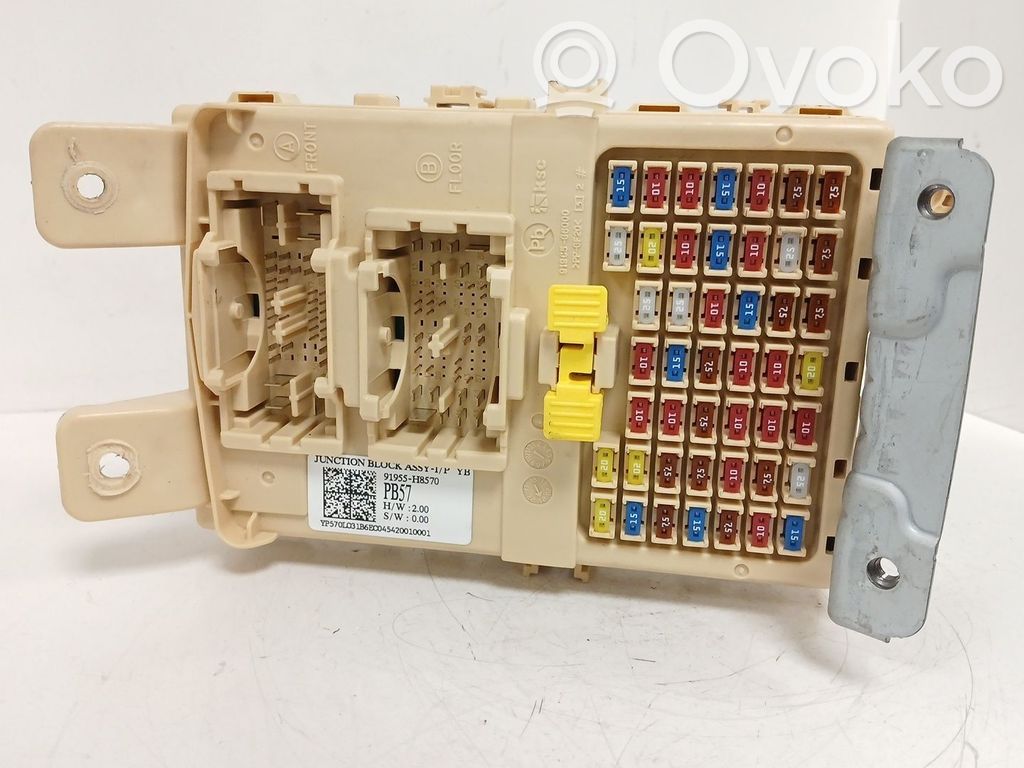 BSM Control unit   91955H8570