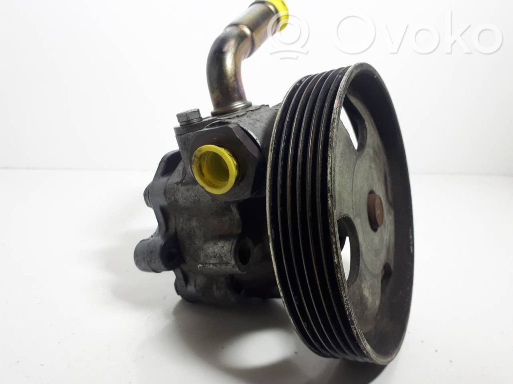 Ford Fiesta Power steering pump 