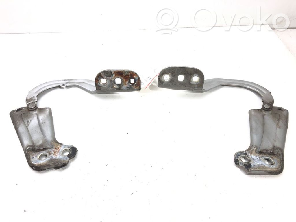 Bisagras del capó/tapa del motor