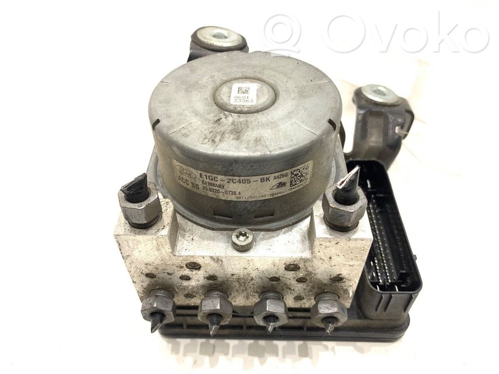 ABS Pump   E1GC2C405BK