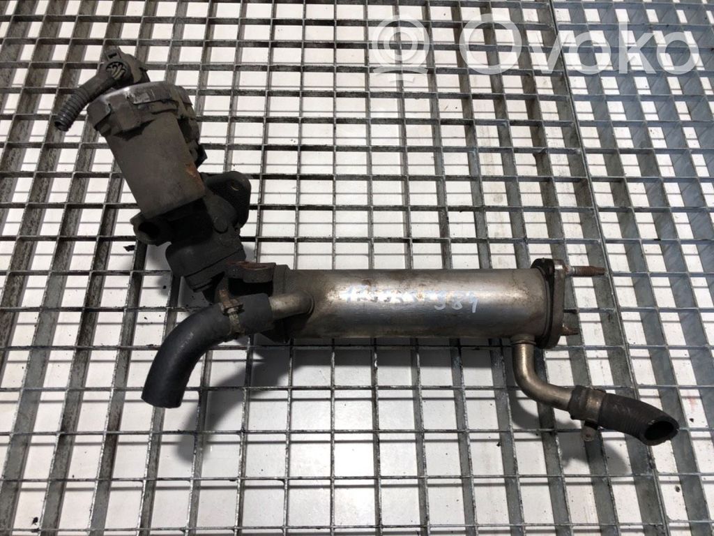 Peugeot Boxer EGR valve 