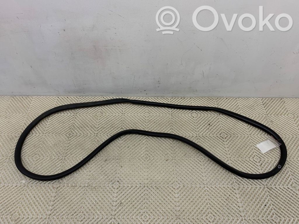Opel Vivaro Cheder cauciuc ușă față (pe ușă) 