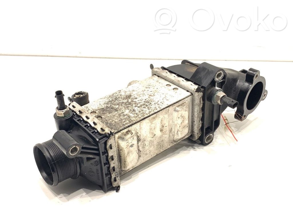 Skoda Fabia Mk3 (NJ) Chłodnica powietrza doładowującego / Intercooler 