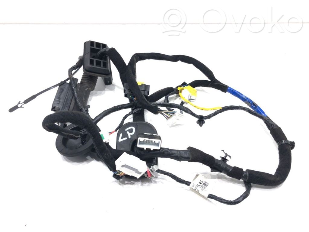 KIA Optima Cableado de puerta delantera 