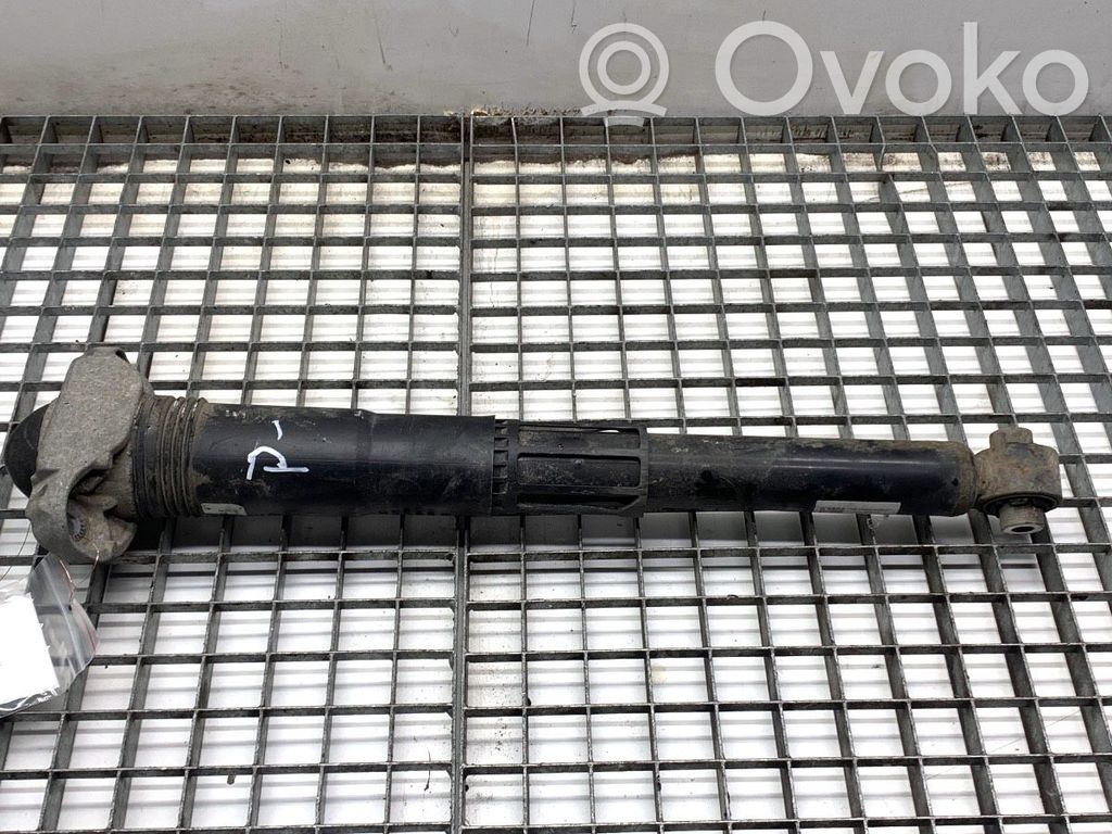 Volkswagen ID.3 Amortizor spate 