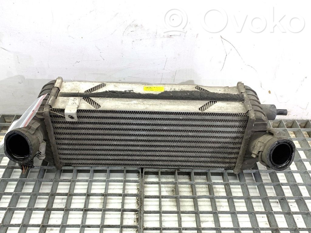 Radiator intercooler   282702A850