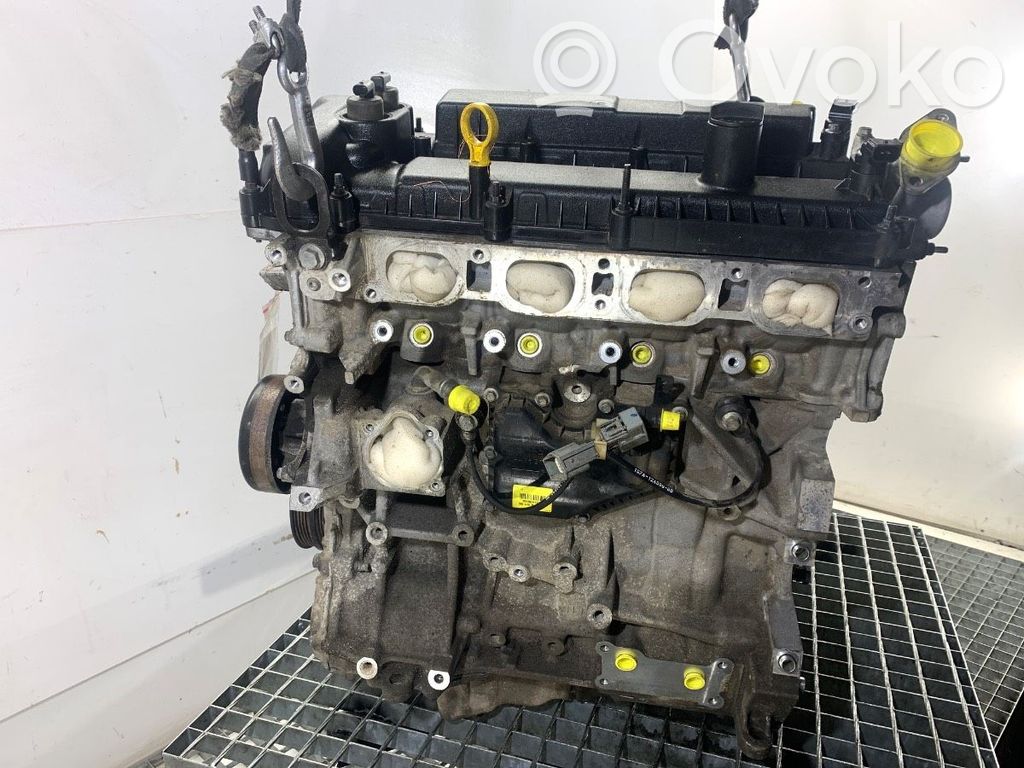 Ford Ecosport Двигатель 