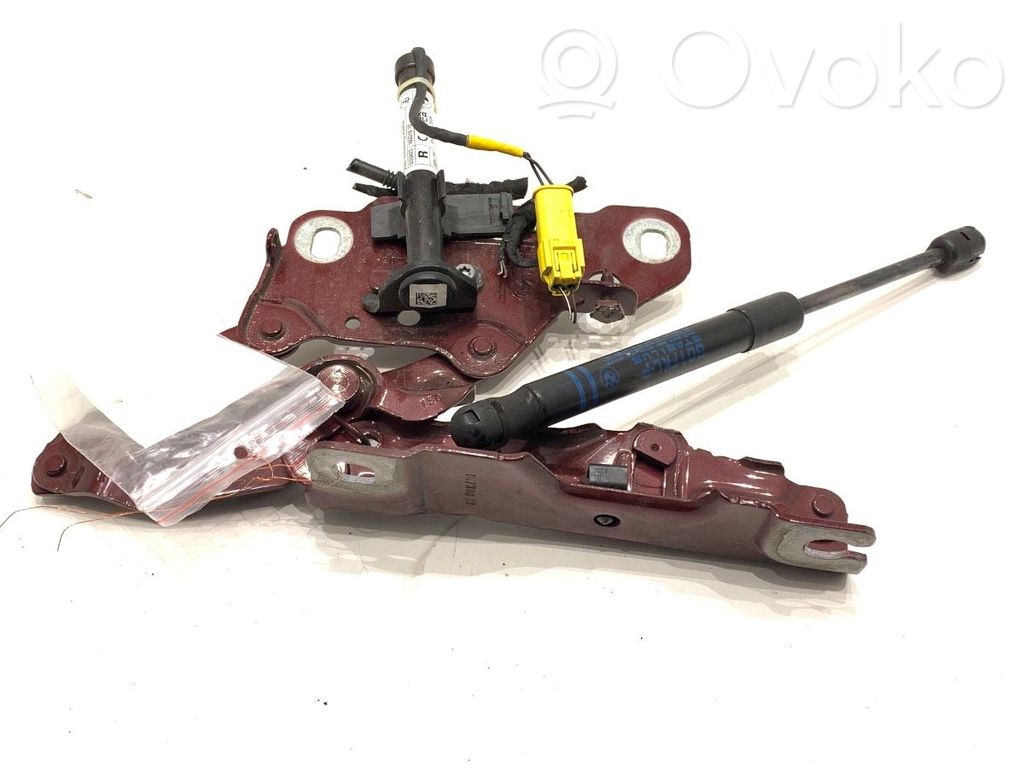 BMW X4 G02 Cerniere del vano motore/cofano 