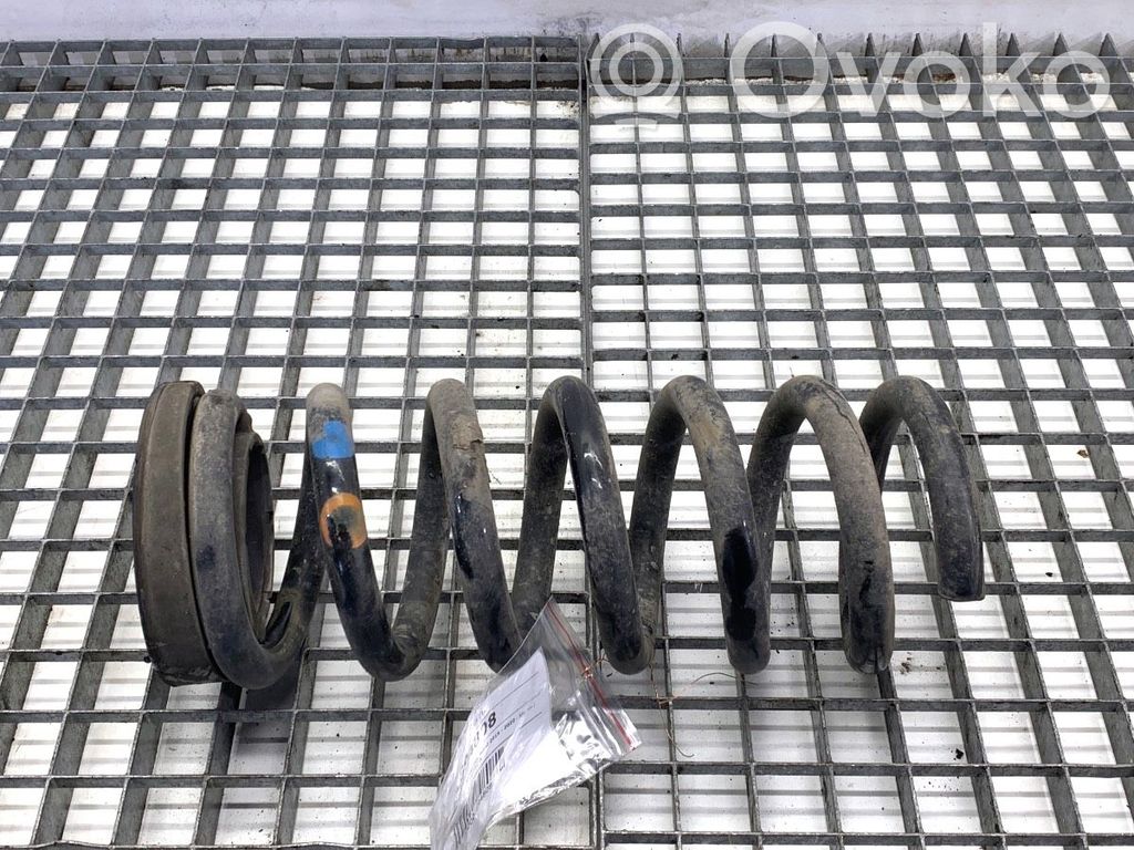 Rear coil spring