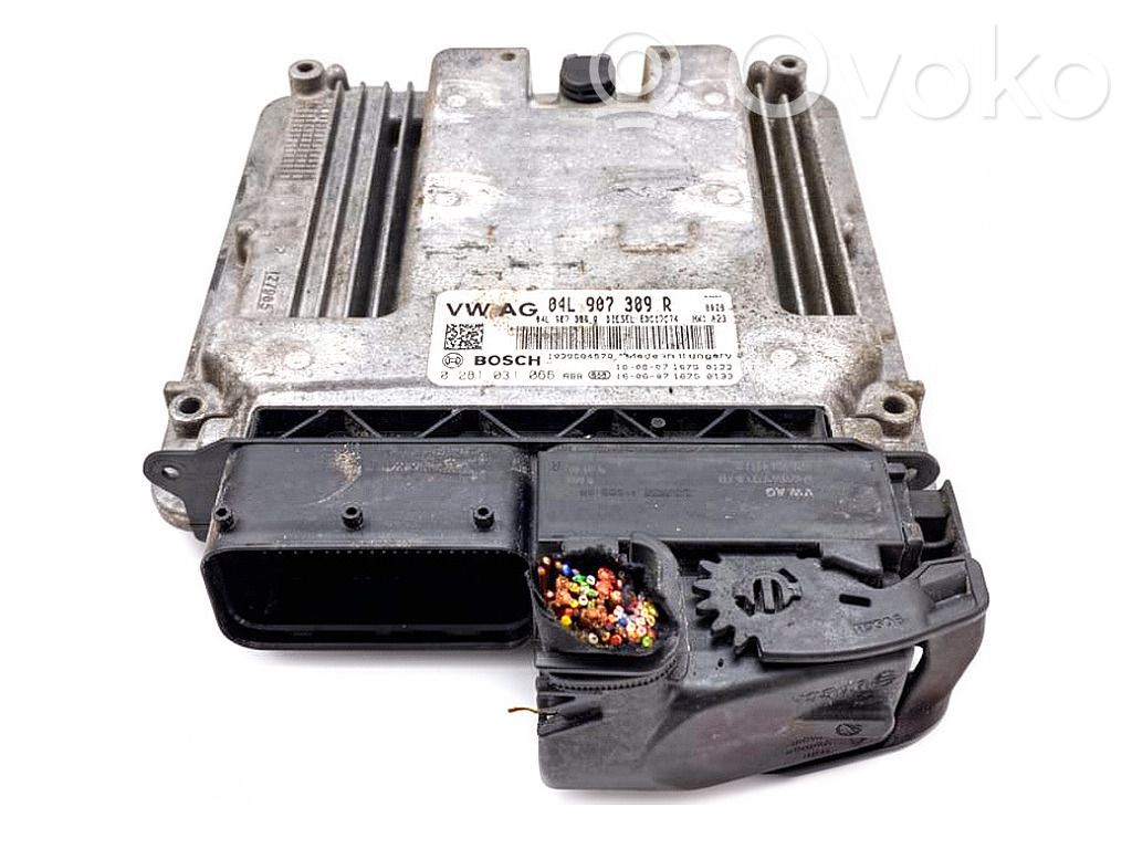 Centralina/modulo motore ECU   04L907309R