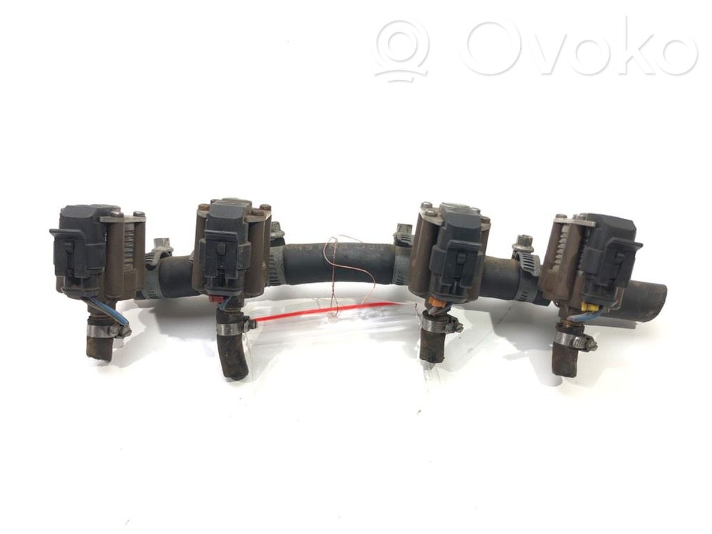 Inyector de gas GLP   67R017294