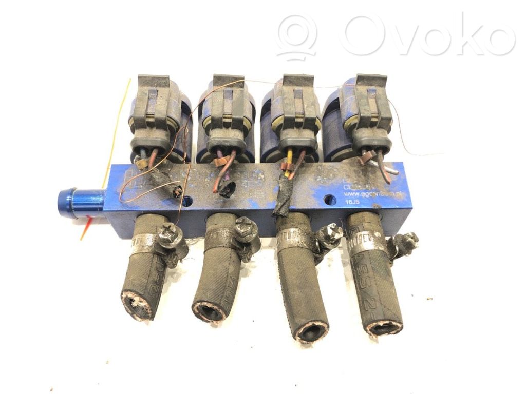 Inyector de gas GLP   67R011030