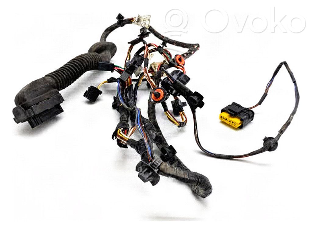Hyundai i20 (PB PBT) Front door wiring loom