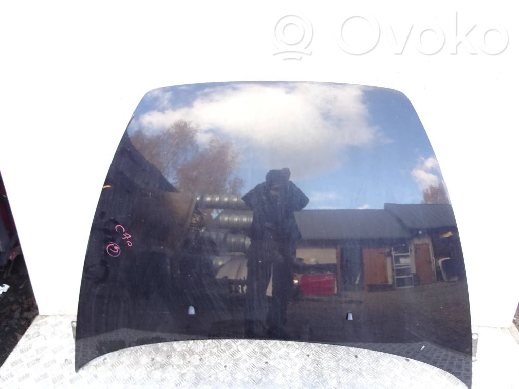 Engine bonnet/hood