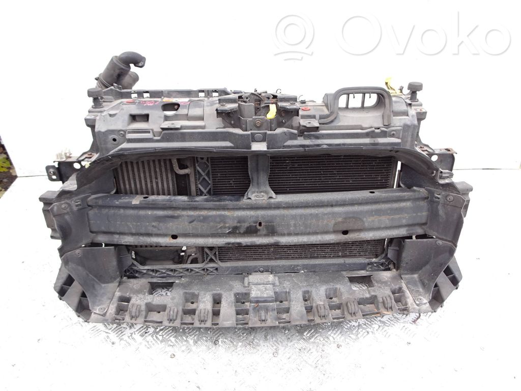 Radiatoru panelis   FDBSB