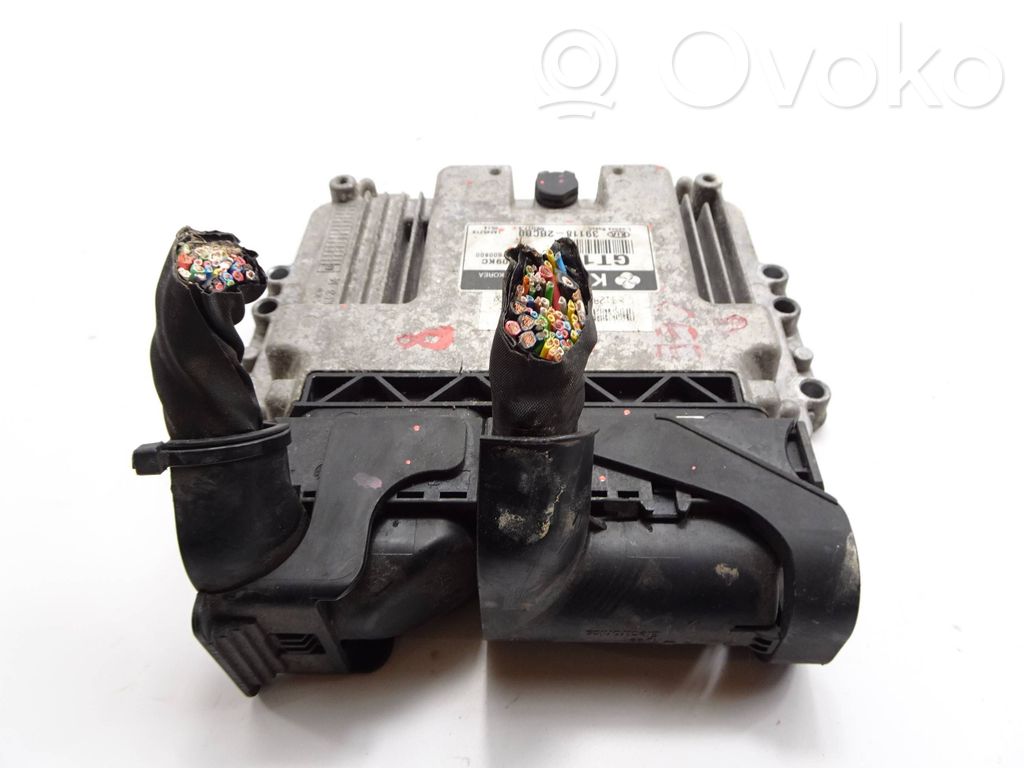 Engine control unit/module   391182BCB0,831282BCB0,9001120209KC,GTJDEE56FS00600