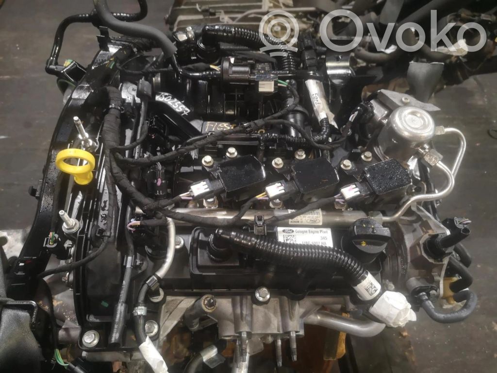 Ford Fiesta Motor 