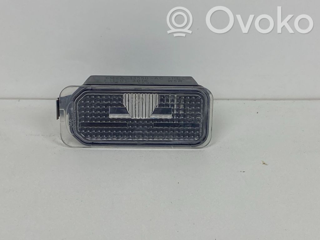 Ford C-MAX II Kennzeichenbeleuchtung 
