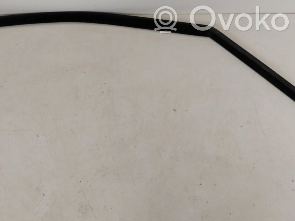 BMW X5 E70 Uszczelka szyby drzwi przednich 
