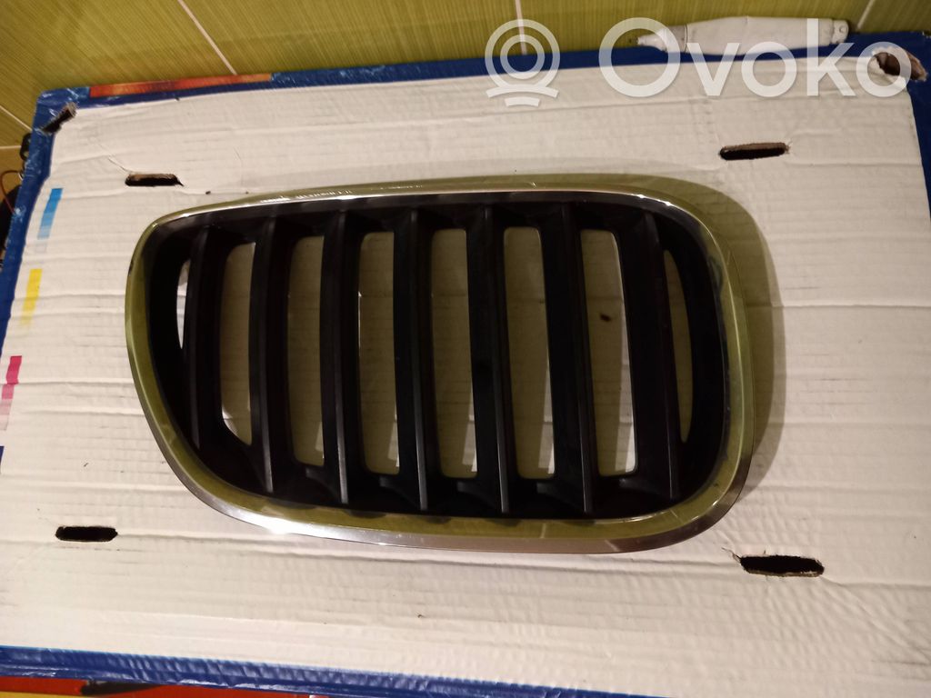 BMW X5 E53 Front grill 