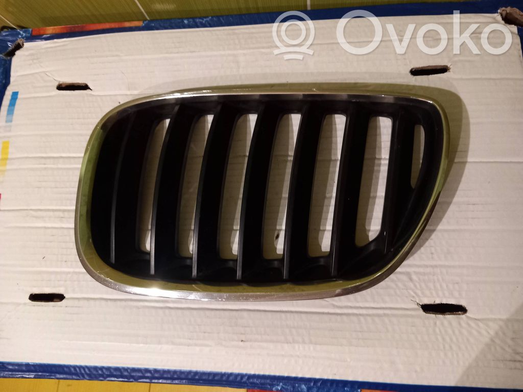 Front grill   51137113737