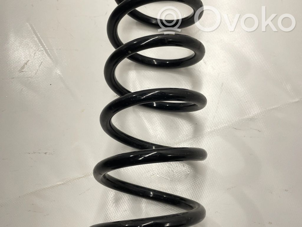 Rear coil spring