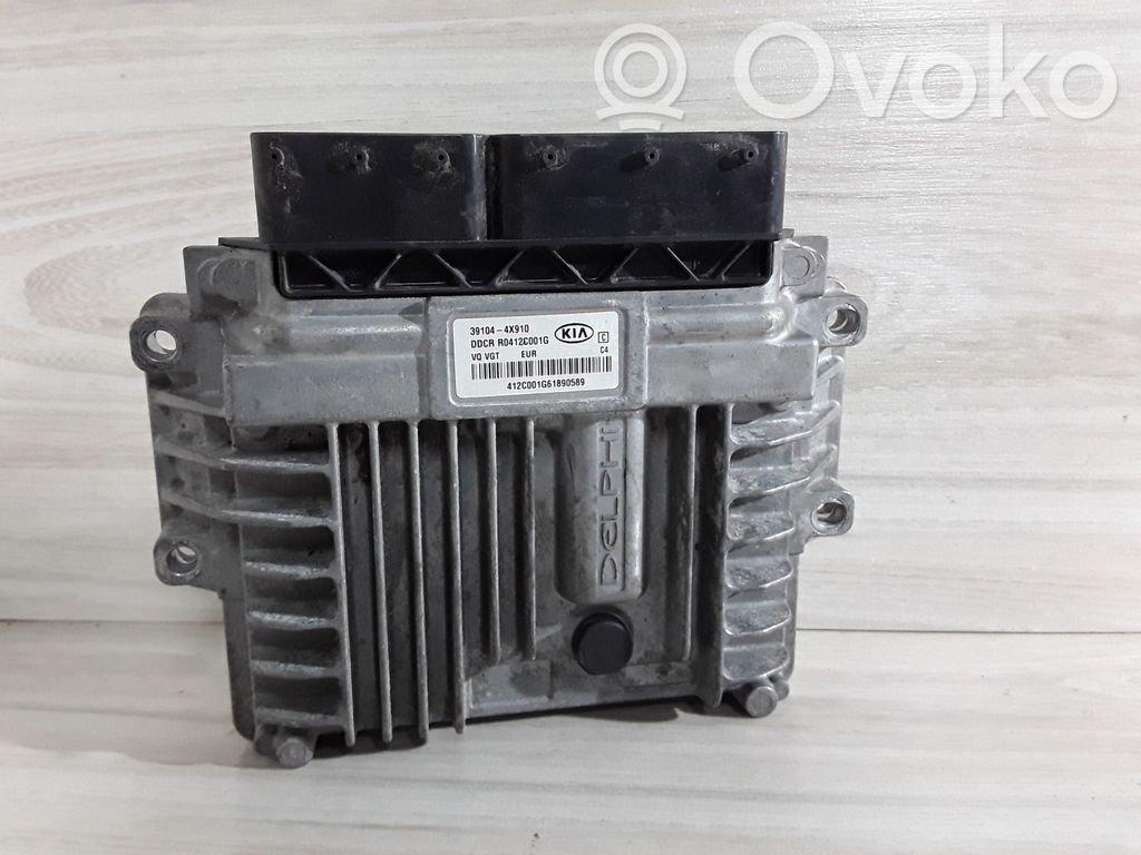 KIA Carnival Engine control unit/module 