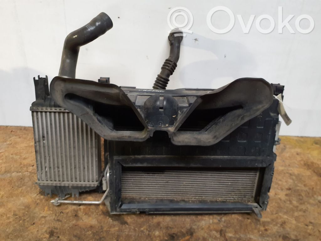 Radiator set   214818009R,214107326R,214811897R,214816703R,214816812R