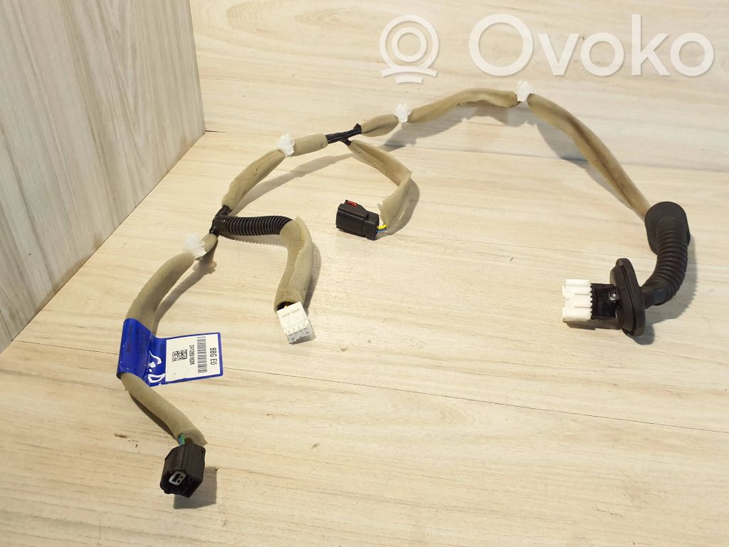 Dacia Spring Cableado de puerta trasera 