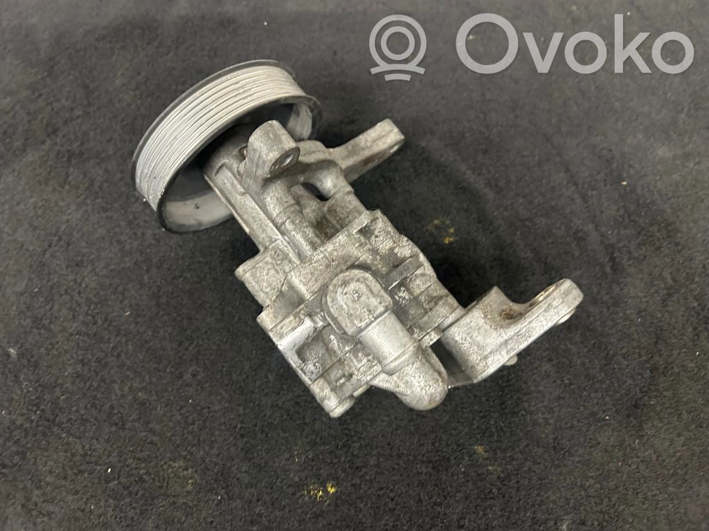 Power steering pump   679646203,00244