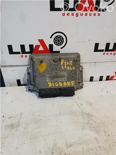 Engine control unit/module ECU