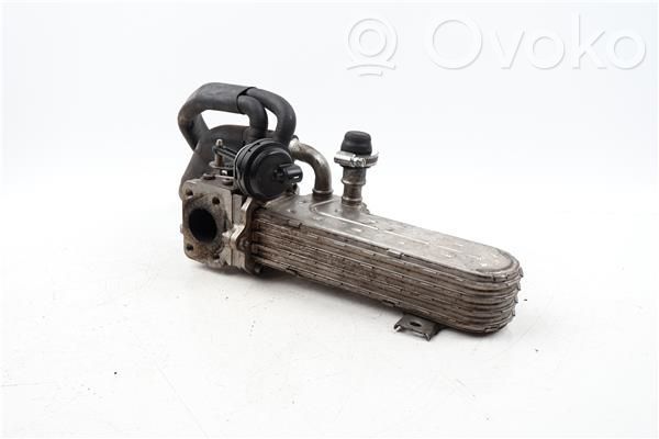 EGR aušintuvas   36131513J