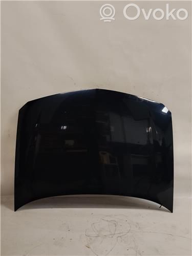 Engine bonnet/hood